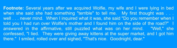 Wolfie the true story